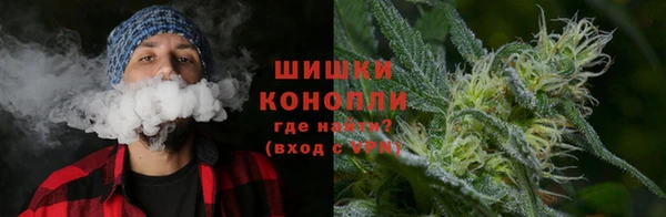 дурь Осинники