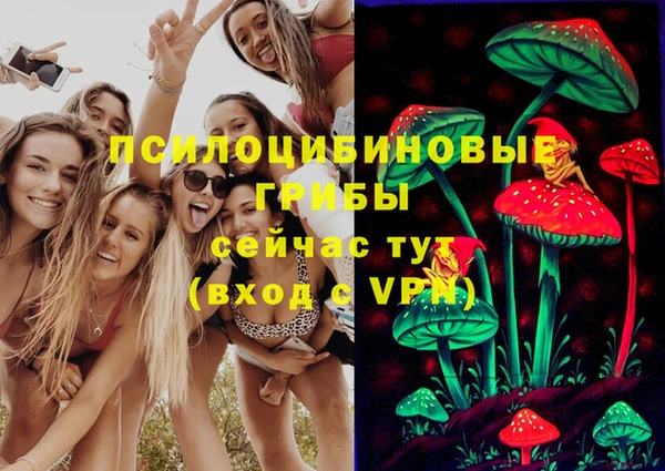 винт Осташков