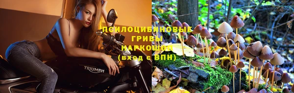 винт Осташков