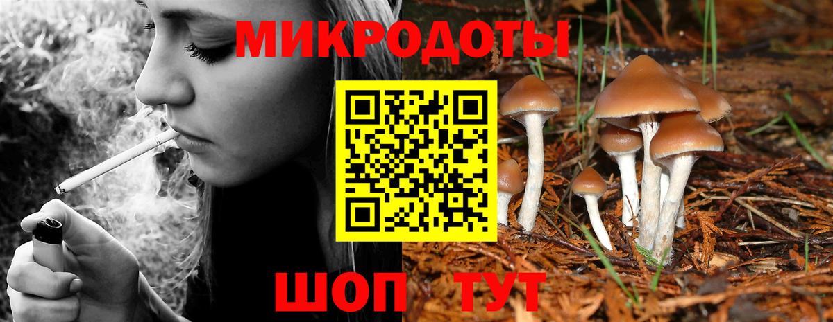 продажа наркотиков  Псилоцибиновые грибы мухоморы  Старая Купавна  Вход с VPN  Галлюциногенные грибы Psilocybe 