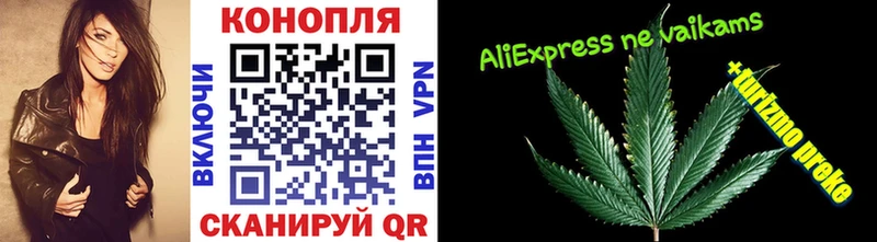 Шишки марихуана Amnesia  Старая Купавна 